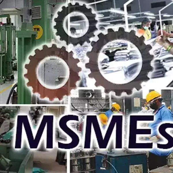 MSMEs Prioritize Loans for Immediate Needs: Study